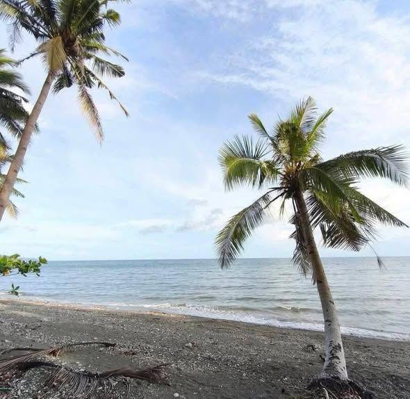 Beach Lot for Sale - 500-2200sqm - Duero, Bohol