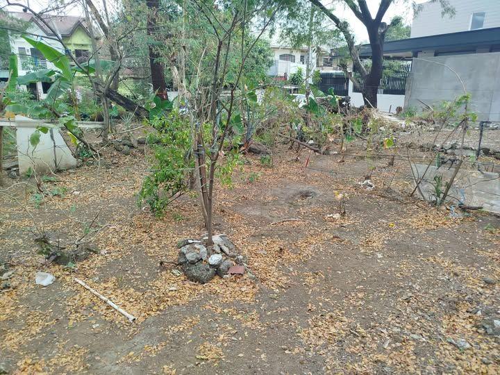 527sqm Corner Lot for Sale in Doña Faustina Village, Tandang Sora QC