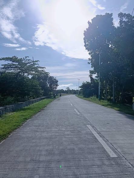 Baclayon Flat Land - 250/251 sqm - Cemented Road Access - Mixed Use