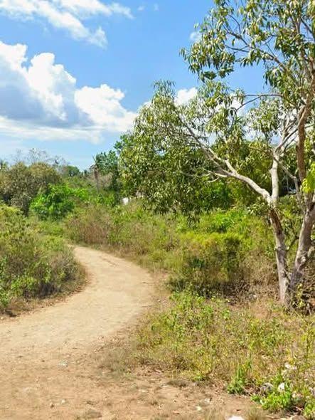 Residential Lots for Sale in Tiptip, Tagbilaran City - 100-150sqm