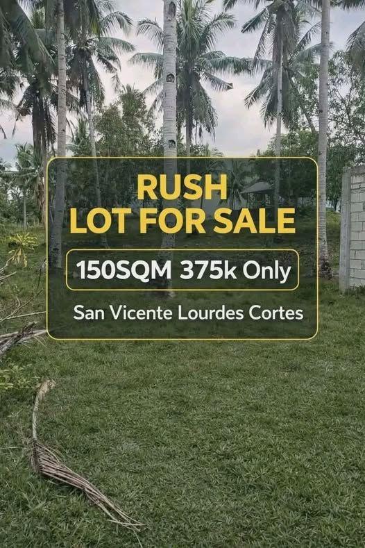 150 sqm Lot in Tagbilaran