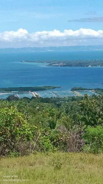 Sea View Land for Resort Development - Loon, Bohol