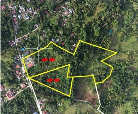 Farm lot in Carmen, Bohol - Coconut plantation with road access