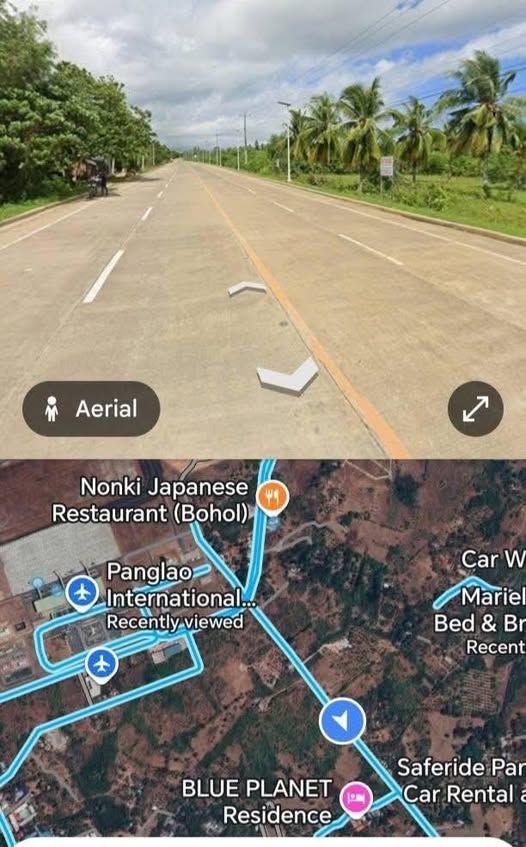 Residential/Commercial Lot in Tawala, Panglao - 1100 sqm with Clean Title Near Airport