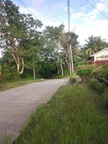 300 sqm Residential Lot in Launion, Candijay - National High School Area