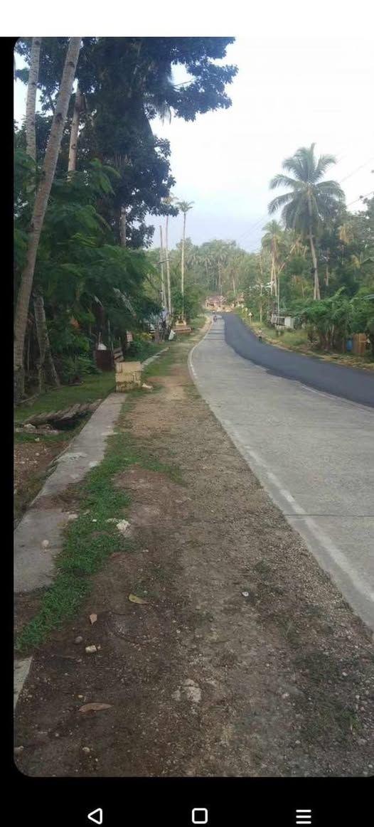 Affordable 2000 sqm Residential Lot in Balilihan Along Highway