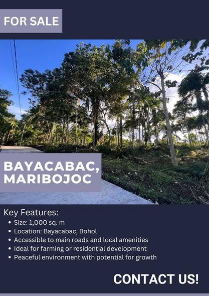 1,000 sqm Farm Lot for Sale in Maribojoc - Clean Title Ready for Transfer