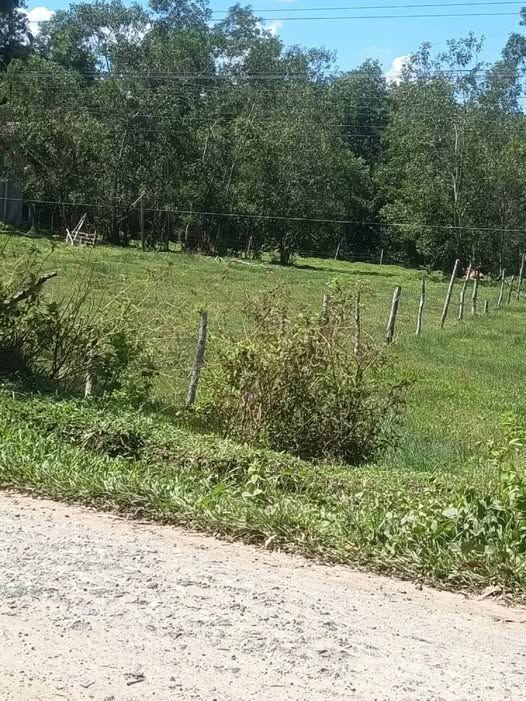 400 sqm Residential Lot in Trinidad, Bohol - Clean Title, Near National Highway