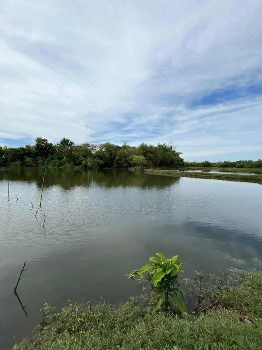 Fish Pond Land for Sale in Talibon, Bohol - 6000 sqm