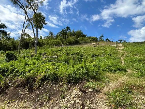 Seller-assisted title transfer (pending completion)