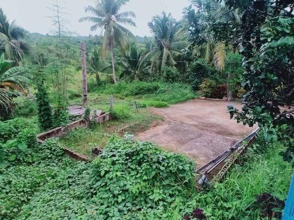 1.6 Hectare Titled Farm Lot with House & Fruit Trees - Burgos, Talibon, Bohol
