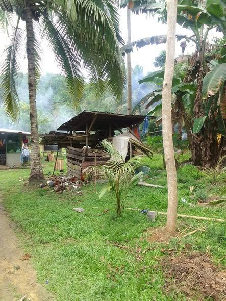 200sqm Titled Lot for Sale in Tanday, Corella, Bohol - 350K
