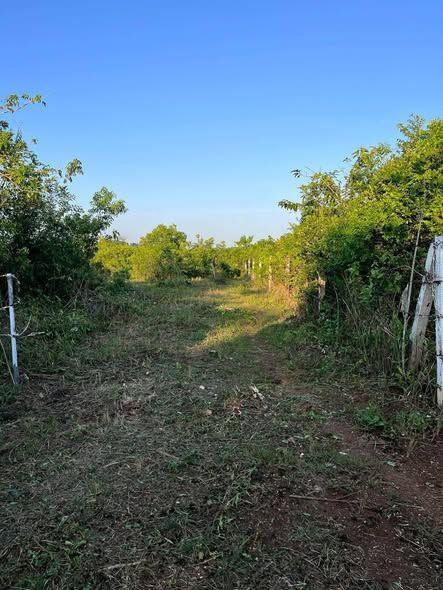 5,693 sqm Titled Lot for Sale in Bingag, Dauis - Near Airport
