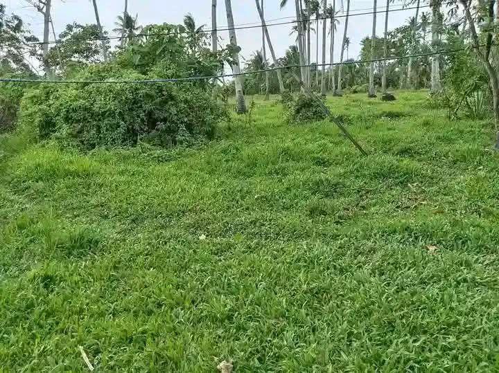 200sqm Lot for Sale in Cahayag, Tubigon - Near Market, 50m from Highway