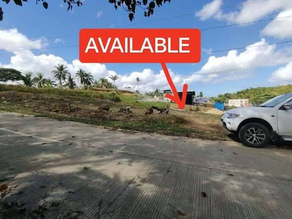 Land for Sale Near Tagbilaran City - 298K