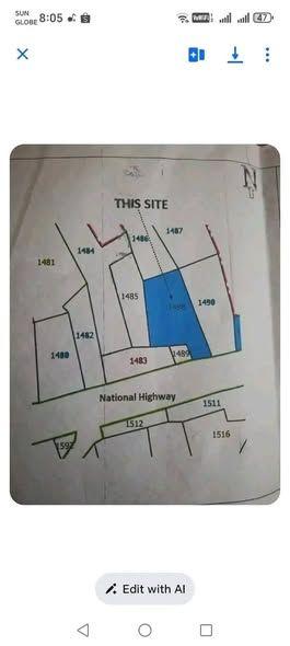 Highway-Adjacent Residential Lot in Loay - 1126 sqm