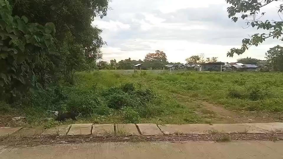 Prime 2,104 sqm Titled Land for Sale in Ubay - Commercial/Residential Development