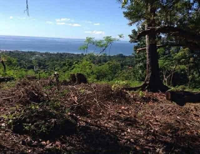 Baclayon Overlooking Residential Lot with Sea View - 1,388 sqm
