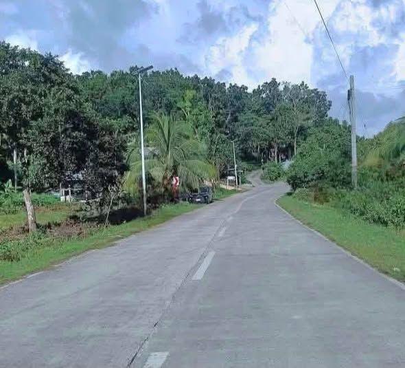 251 sqm Titled Land for Sale in Baclayon - Along Cemented Road Near Marqis Resort