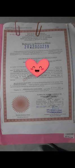 1,155 sqm Titled Lot for Sale in Alburquerque, Bohol - ₱1.8M