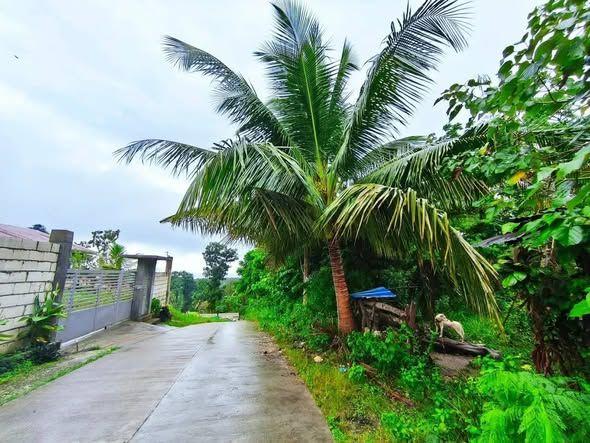 3,142 sqm Titled Lot for Sale in Maribojoc, Bohol - Wide Road Frontage