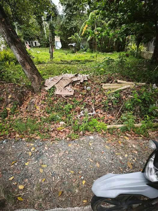 Commercial Lot for Sale - 323 sqm, Titled, Guindulman Bohol