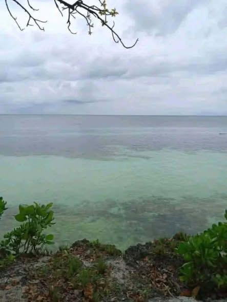1,700 sqm Beach Lot for Sale in Loon, Bohol - Clean Title