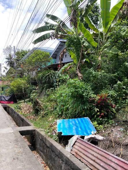 Titled Lot Along National Highway, Loay, Bohol - 1,126 sqm - 1M PHP