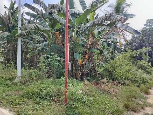 761 sqm Overlooking Lot in Alburquerque - Near Highway & School