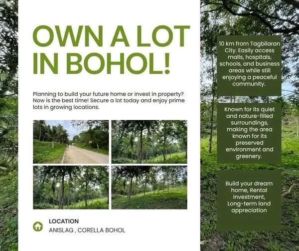 Niña Homes Residential Lot - 80 sqm in Corella, Bohol