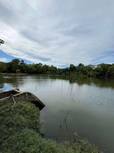 Fishpond Land for Sale in Talibon, Bohol - 5,977 sqm with Complete Documents