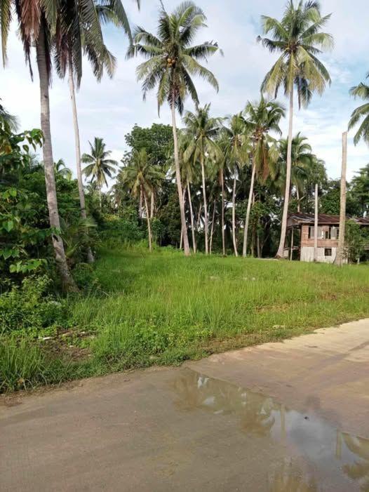 1,743 sqm Lot for Sale in San Isidro, Tagbilaran City - Near Highway
