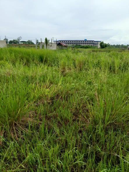 4,924 sqm Prime Investment Lot - Lavictoria Trinidad Bohol