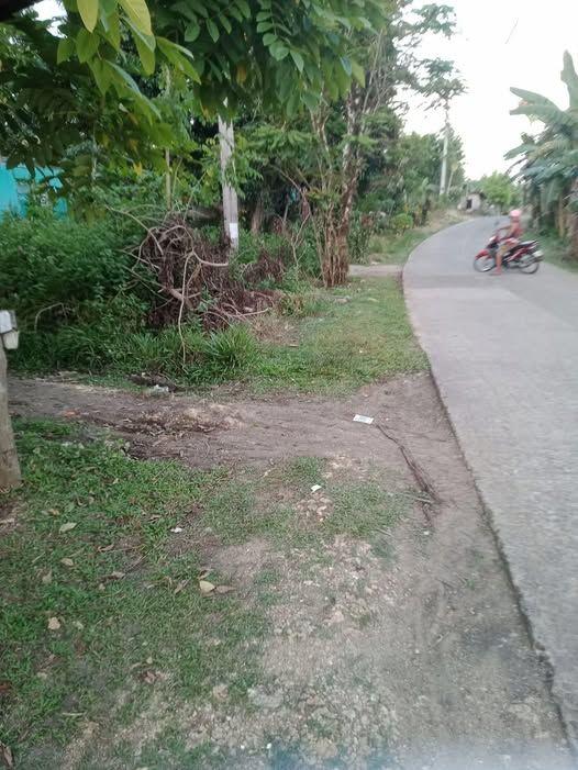 1,000 sqm Titled Lot for Sale Along Road in Tagbilaran - ₱3,500/sqm