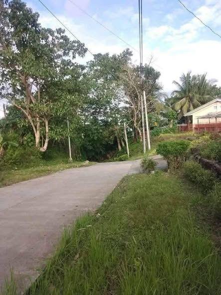 300sqm Titled Lot for Sale in Launion, Candijay - Across National High School
