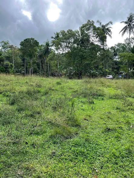 Residential Land with Native Structure in Corella