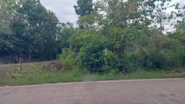 1,676 sqm Titled Lot for Sale in Tangnan, Panglao