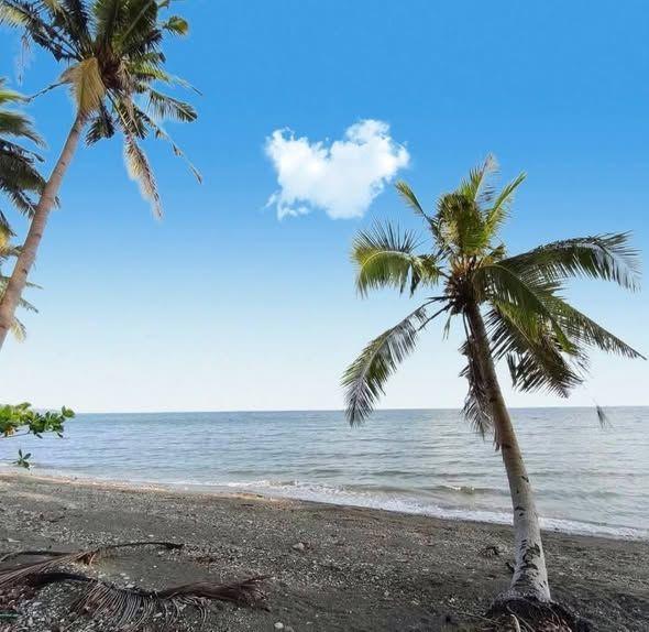 Beach Lot for Sale - Duero, Bohol - Multiple Sizes Available