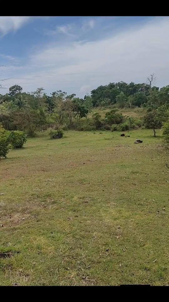 Coastal Seaview Lot - Guindulman, Bohol