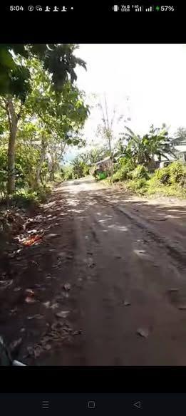 3,064 sqm Agricultural Lot with Fruit Trees in San Pascual, Ubay, Bohol