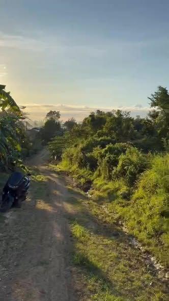 9,871 sqm Ocean View Lot in Tubigon, Bohol - Clean Title