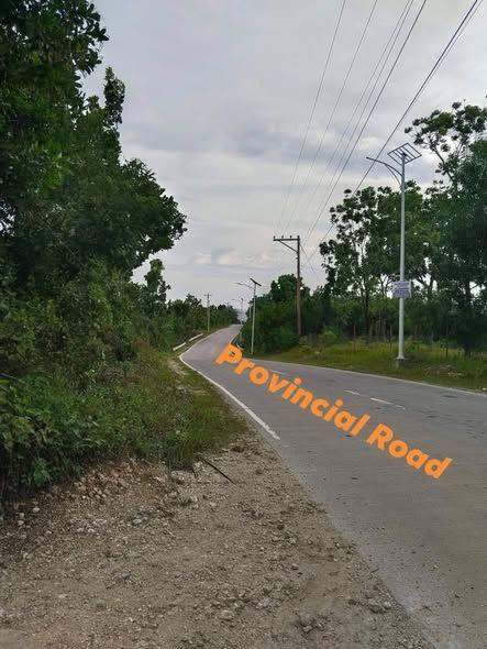 Titled Residential Land in Baclayon - 1,076 sqm, Subdividable, Near Provincial Road