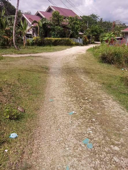 346 sqm Titled Residential Lot - San Isidro, Tagbilaran