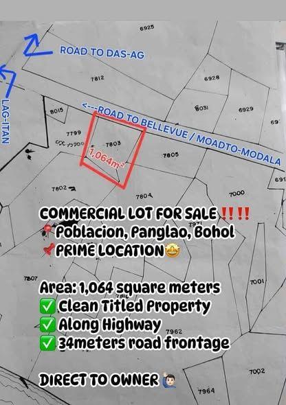 Commercial Lot for Sale - Panglao, Bohol (Prime Highway Location)