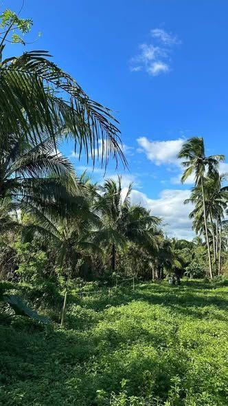 Investment Land Near Tagaytay - Elevated Lot for Development