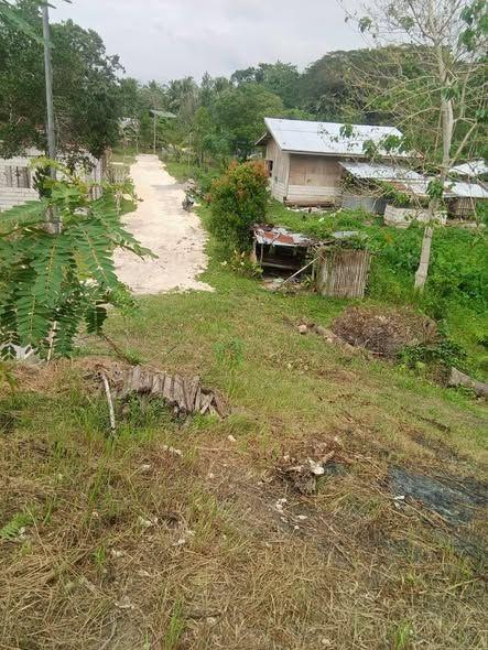 Land Lot in Cortes, Bohol - 3,972 sqm Agricultural Property with Clean Title