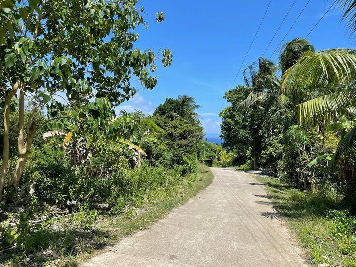 1000sqm Overlooking Lot for Sale in Canmanoc, Loon, Bohol - Mother Titled