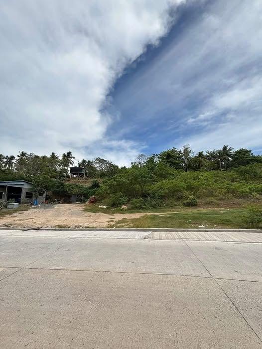 1000sqm Ridge Lot for Sale in Tambo, Babak District - 18m Frontage, Overlooking View