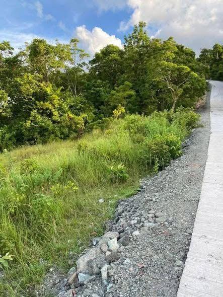 5,000 sqm Overlooking Lot for Sale in Guindulman, Bohol - 800k
