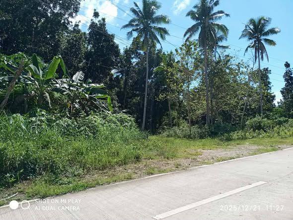 5000 sqm Titled Lot for Sale in Alburquerque - ₱500/sqm